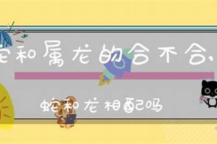 姻缘分析:属龙和属蛇的八字相合吗 结婚怎么样