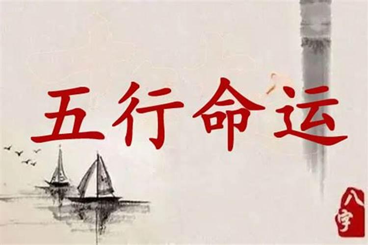 1991正月二十九早七点男孩命运怎样