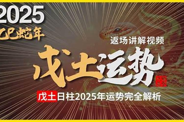202568穿衣吉祥色