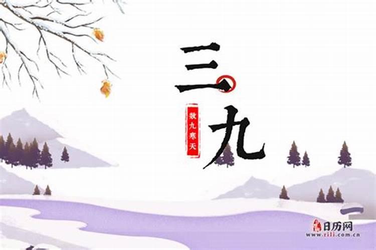 生肖猪1971年2025年运势如何 生肖猪1971年2025年全年运势