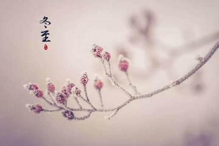 八字命盘 童子命的劫难是什么