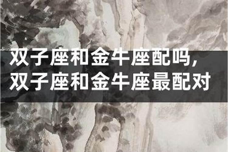 双子座的婚配属相,属 龙的双子座,跟什么属相什么星座的人最相配呢百度...