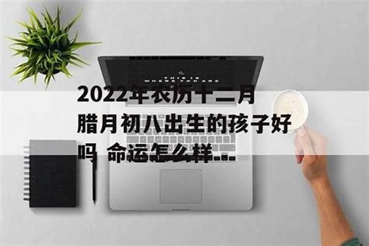 农历腊月十二出生是什么命 哪个时辰出生好？