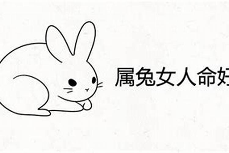 2000年属龙的是什么命