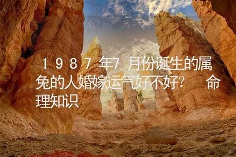 一九七七年阳历七月初四,阴历八月十八号出生女今年的财运