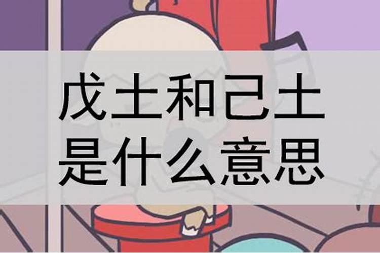 女1988年戊辰大林木命,男1989年己巳大林木命,是否适合结婚,求高人指 ...
