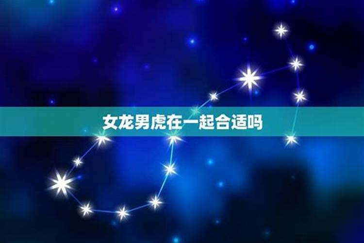 男龙女虎合婚