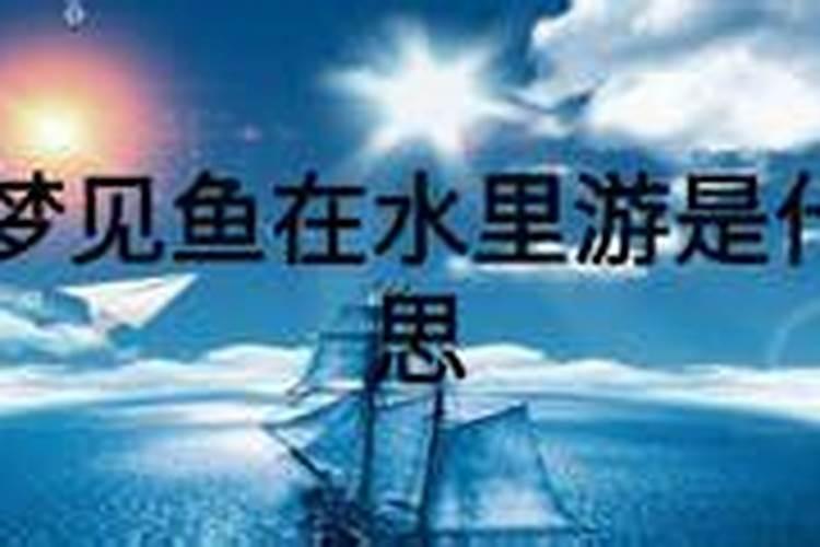 梦见鱼在水里游是什么意思