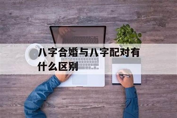 恋与制作人礼物攻略,恋与制作人如何进入小屋