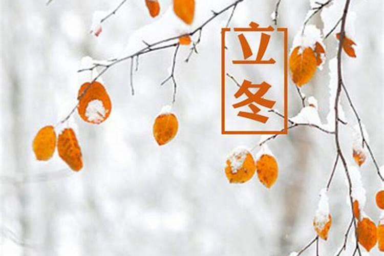 梦见包饺子是什么征兆