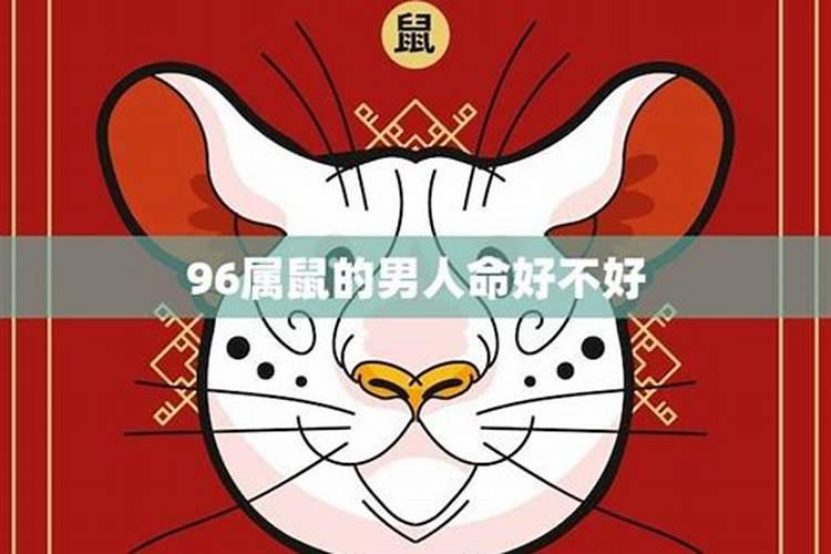 为什么属鼠1996的命苦一生运势详细解析