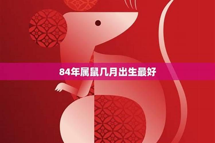 一九九六年属鼠的运程,96年属鼠一生事业运