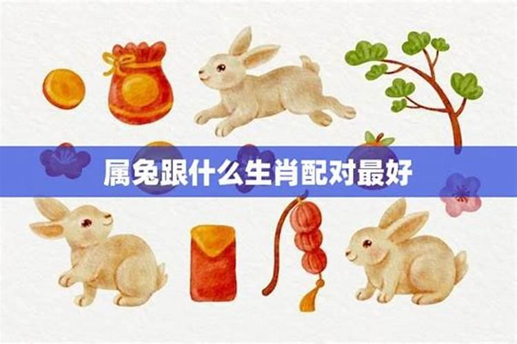 属兔与属兔的结婚好吗,属兔的和什么属相不合