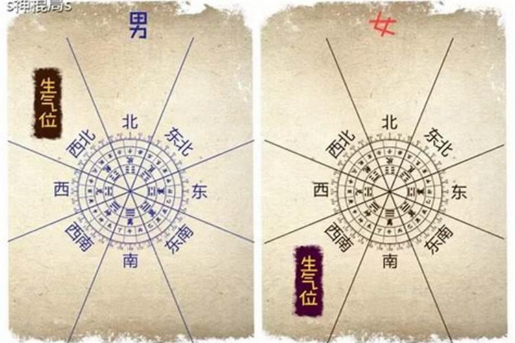 牛年属虎的运势及运程,86年虎在牛年的运势