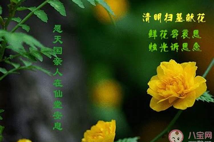 怎样去寺庙为去世亲人祈福