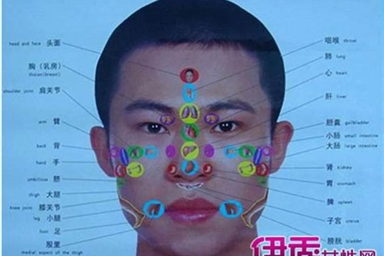 额头代表什么运势