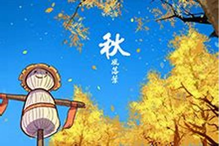 秋分后面是什么节气