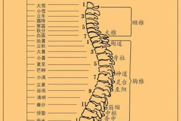 灸透后背4个穴,彻底赶跑一身风寒!还能打通气血