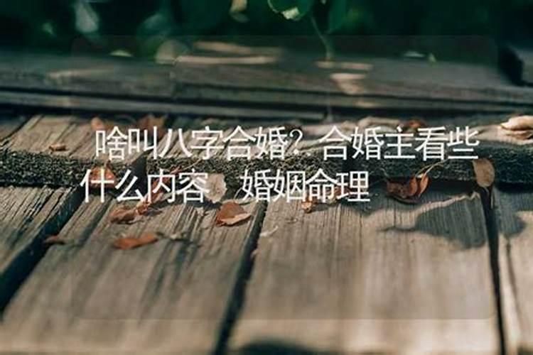 什么才是正确的八字合婚