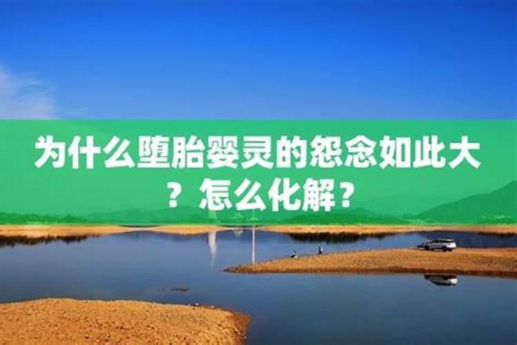 不同年份冲太岁的属猪人的化解方法