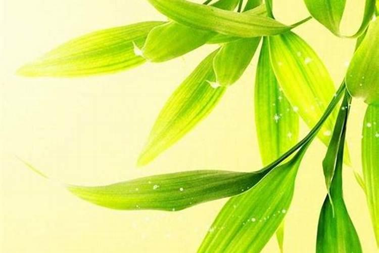 利于孩子学业的风水
