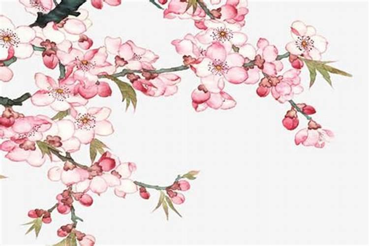 女人犯桃花怎么化解