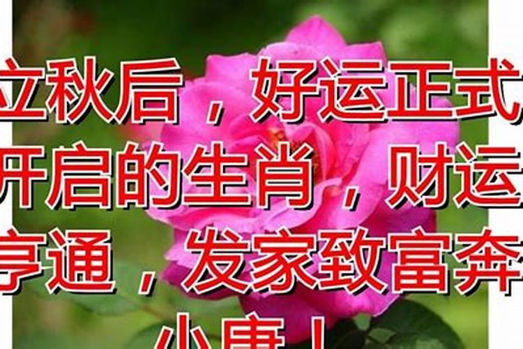 农历1972年12月初七现在虚岁多大