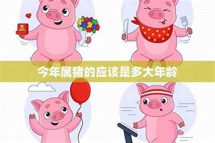 2025年各属相运势及运程