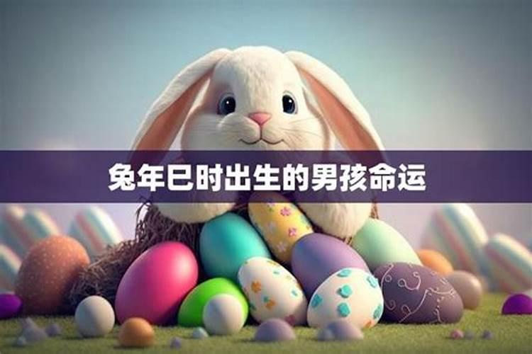 巳时出生的男孩富贵命
