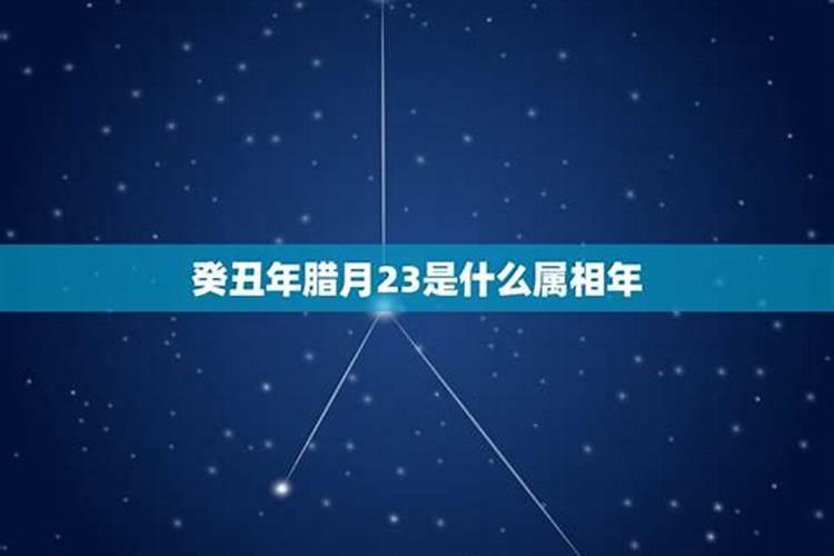 2025年4月4日农历属相