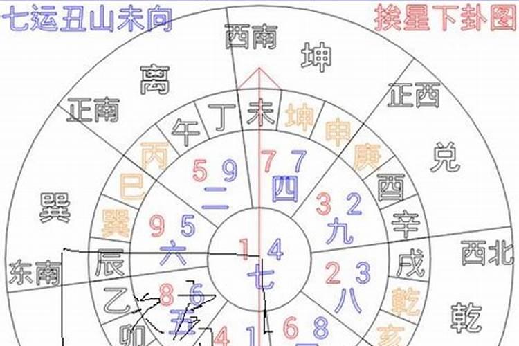属猴的跟什么相冲,猴跟什么生肖配对更好