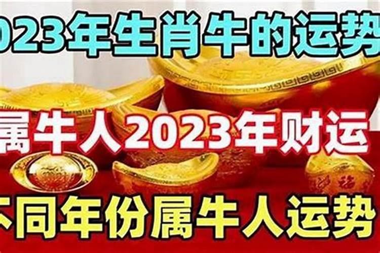 本命年的人财运怎么样