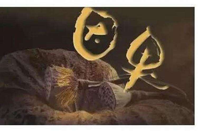 属猪女哪个月份最好