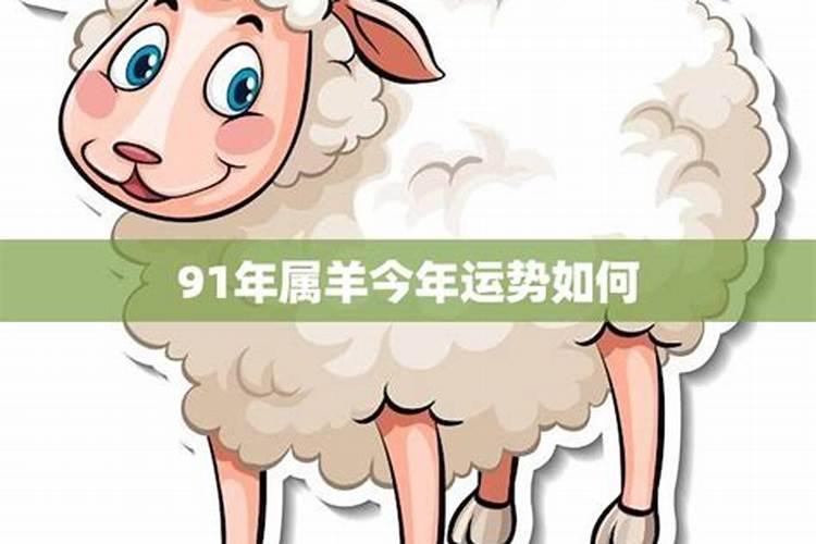 1991年属羊2025年全年运势