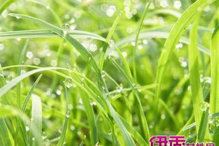 梦见一个女人头的预兆