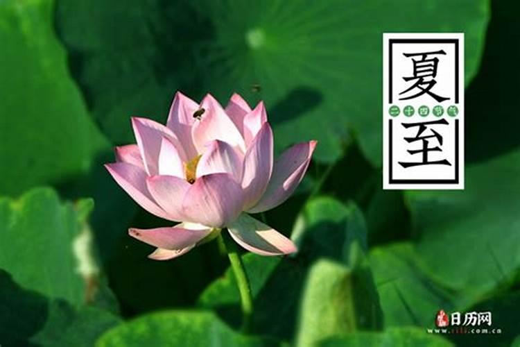 2024夏至时间具体是几月几号几点几分哪一天夏至入伏