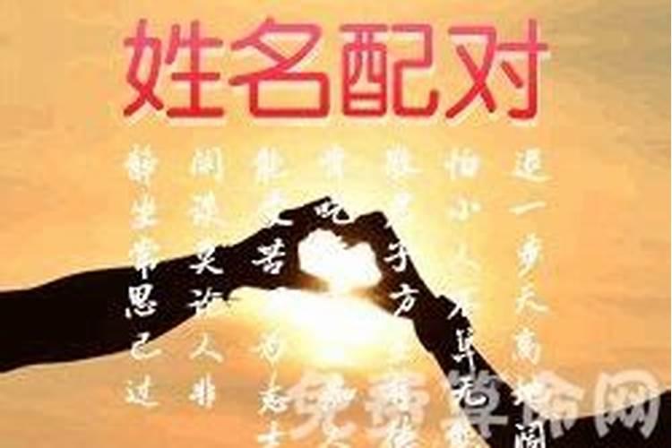 属龙人今年运势2025年每月运势