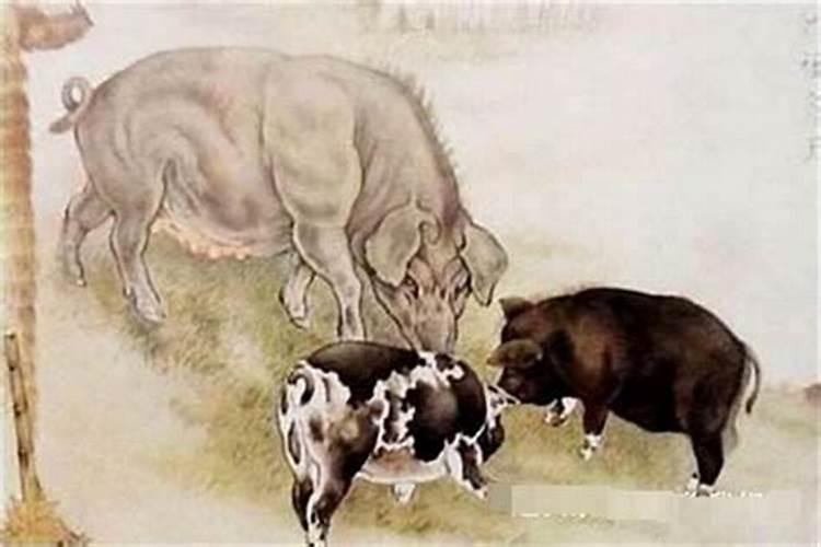 两个71年属猪人适合结婚吗,婚姻运势怎么样呢？