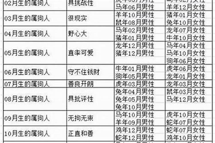 女属相狗适合什么属相