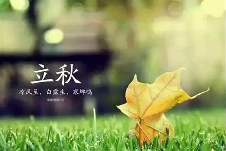 立秋有什么讲究吗