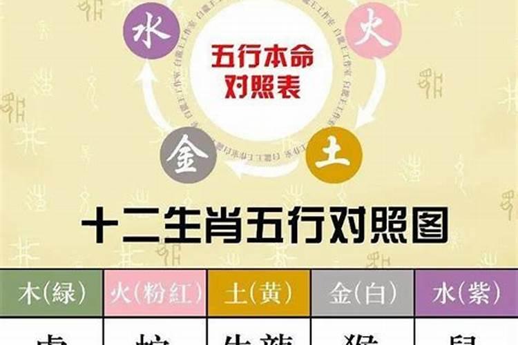 人的五行属什么是看纳音还是看什么,五行属什么怎么看
