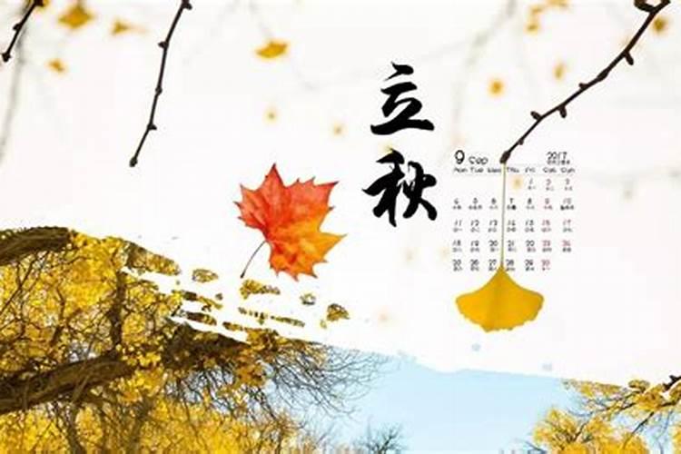 为什么人喜欢养伯劳鸟？
