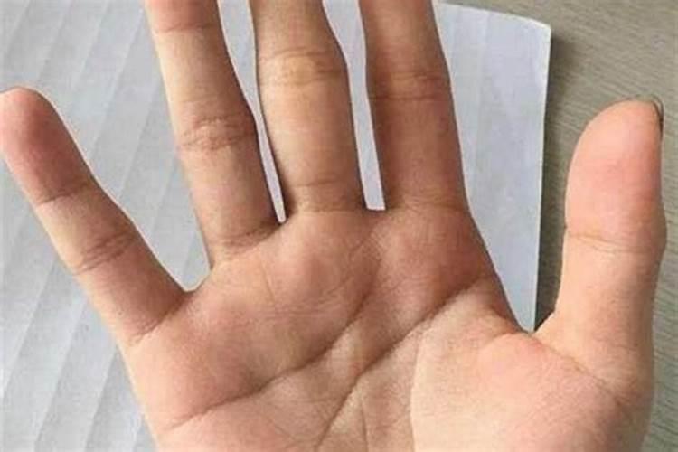 属羊男生的婚配属相最好的是什么？