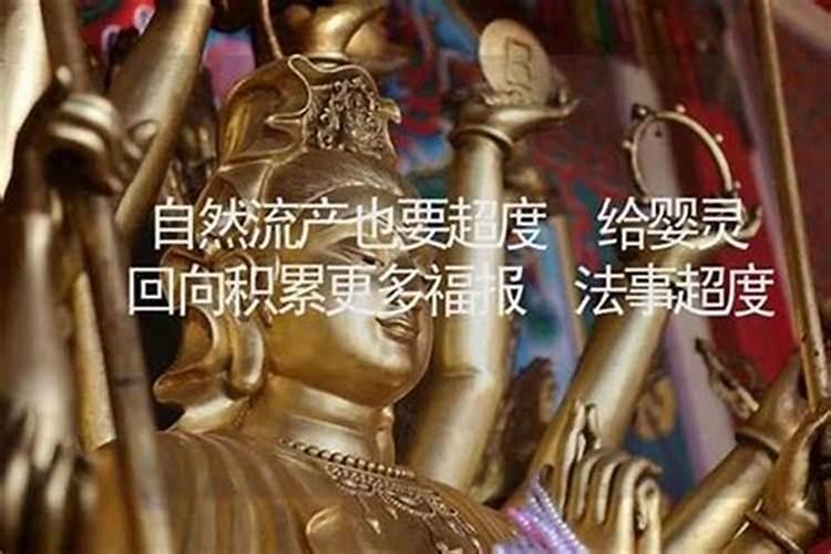 八四年,农历十二月二十出生,属哪个星座？