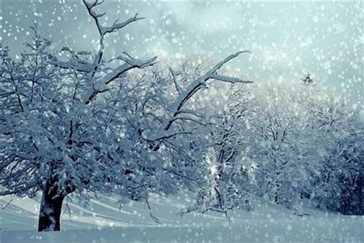 做梦梦到下雪是什么意思？