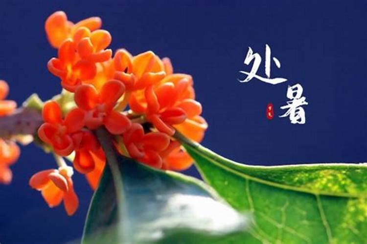 交运当天注意什么