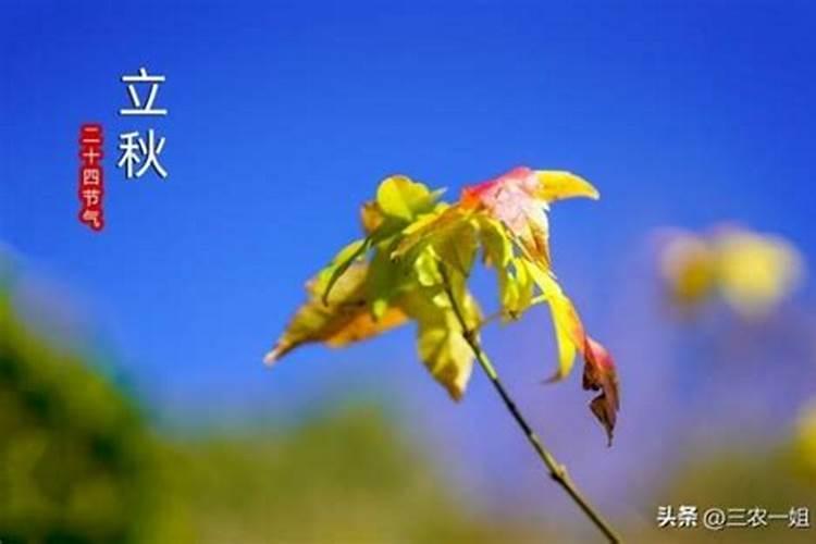 阴历84年11月30是什么星座,为什么不是每年都有阴历11月30这一天呢？