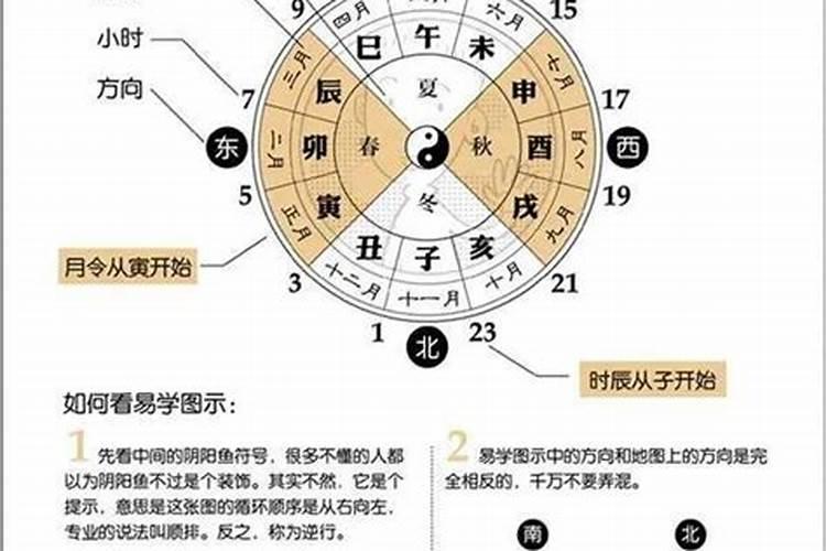 子女星怎么看