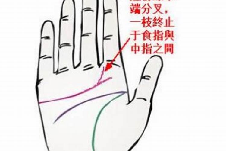 手相婚姻线是哪一条 手上的婚姻线是哪一条