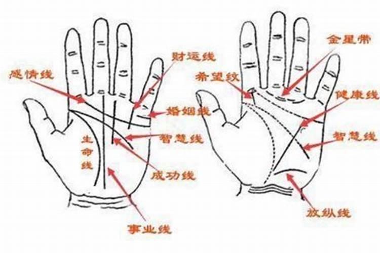 婚姻线有分叉的几种图解 婚姻线分叉图解